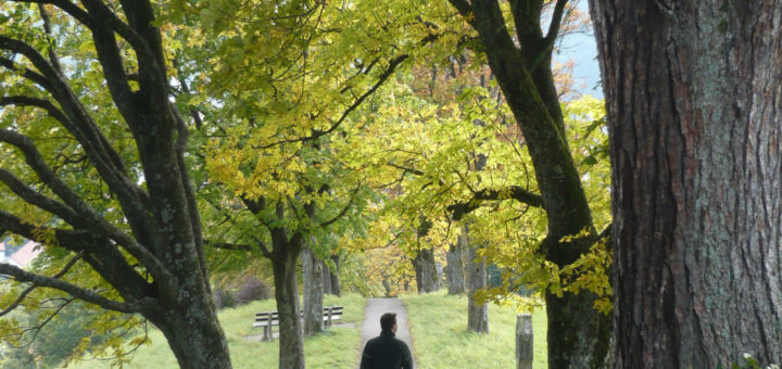 Allee