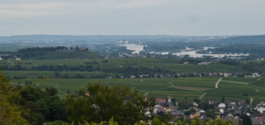 Blick nach Johannisberg