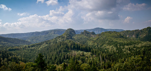 Blick zum Großen Winterberg