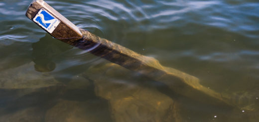 Schwimmen statt Wandern