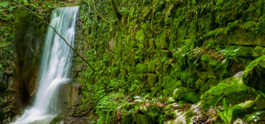 Rastenbachklamm: Wasserfall V