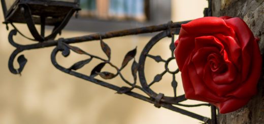 Kunstrosen - Rosenkunst III