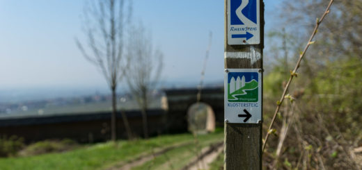 Wegweiser am Steinberg